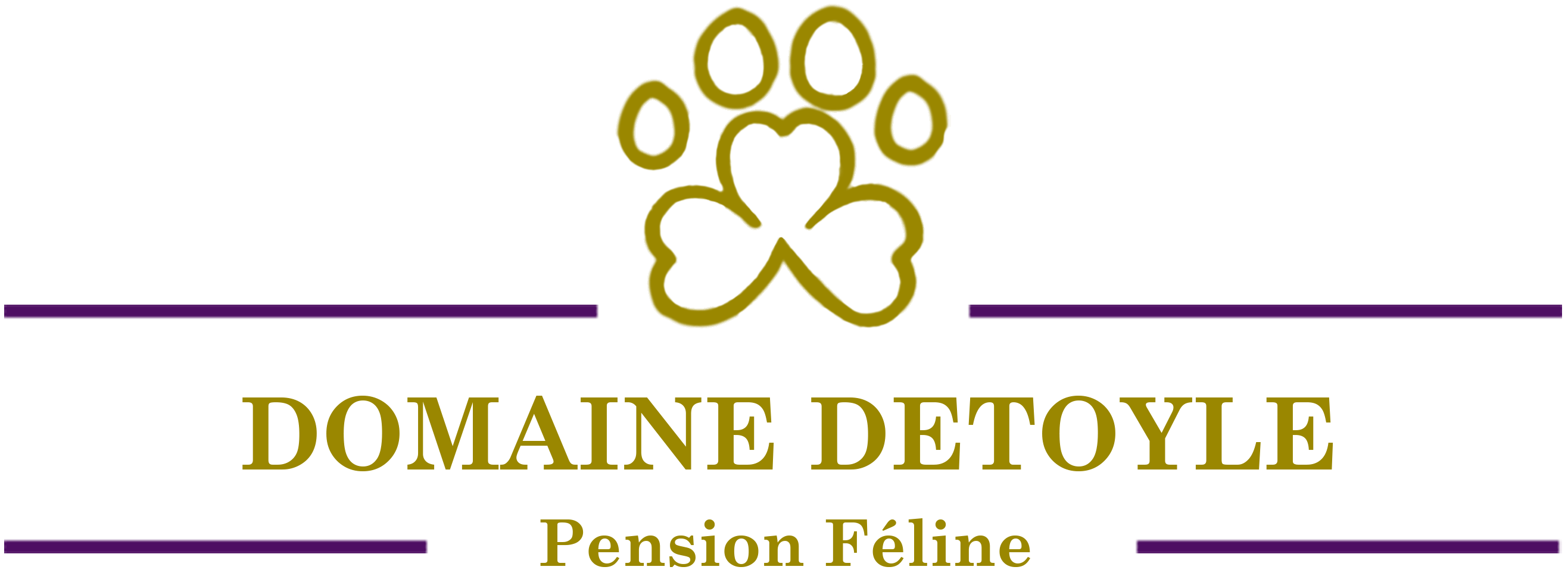 Logo Domaine Detoyle